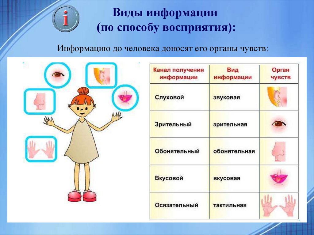 Виды и свойства информации презентация