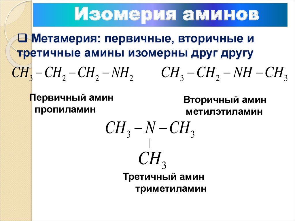 Метамерия: первичные, вторичные и третичные амины изомерны друг другу