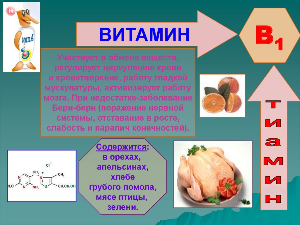 Продукты где витамины группы в. Витамины б 12 б 6 и 1. Витамин в1 источники витамина для организма человека. Витамин b1 тиамин источники. Витамин б1 б2 б6.