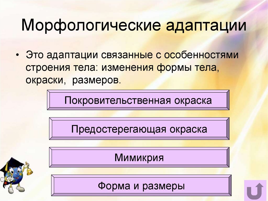 Морфологические адаптации презентация