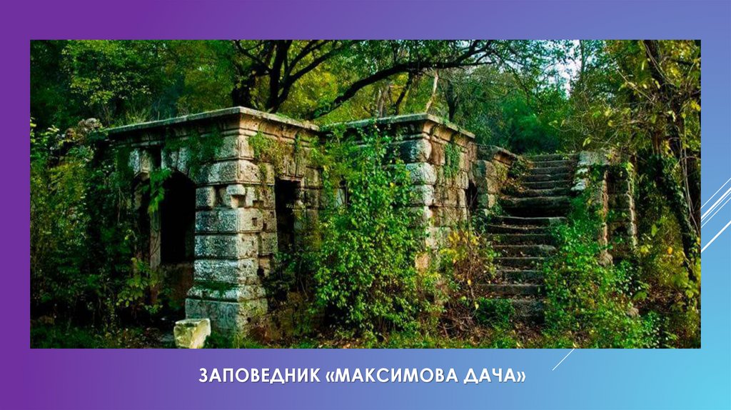 Заповедник «Максимова Дача»