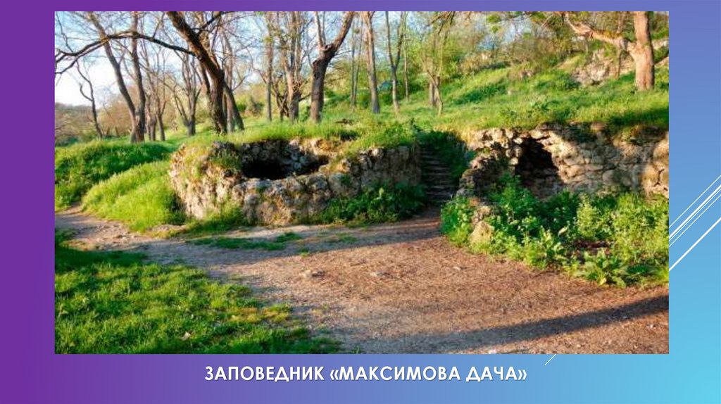 Заповедник «Максимова Дача»