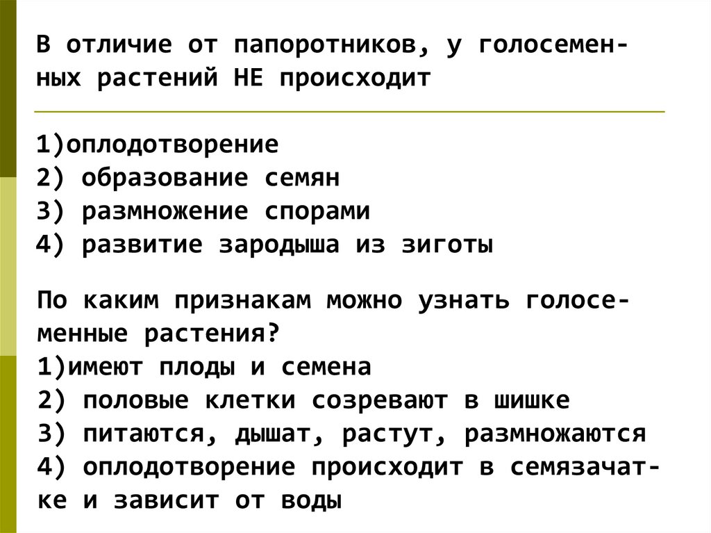 Чем отличаются цветковые от папоротников