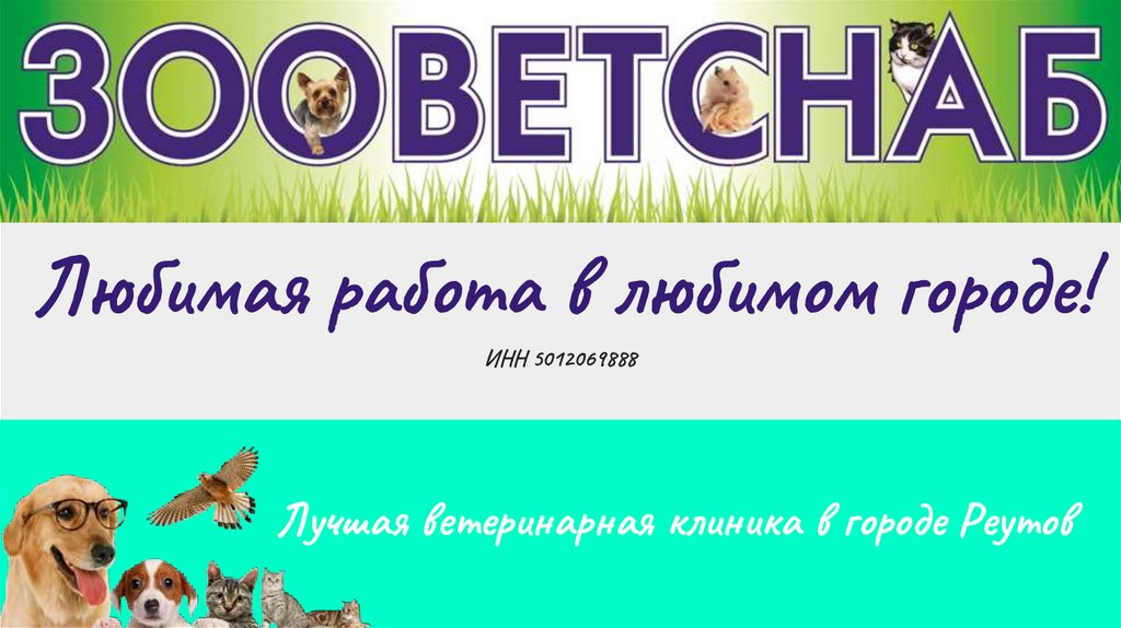 Отзыв лучшему ветеринару