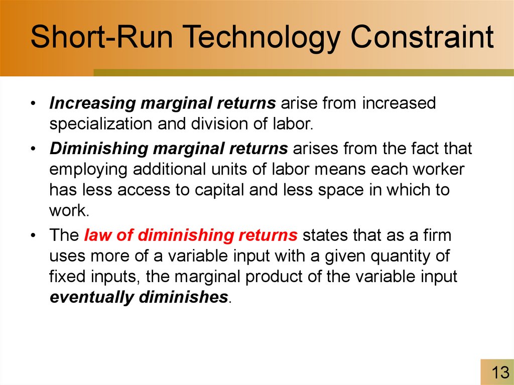 Short-Run Technology Constraint
