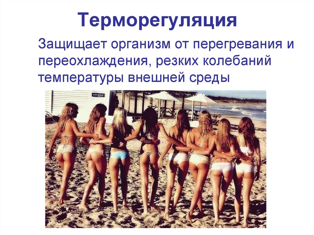 Терморегуляция