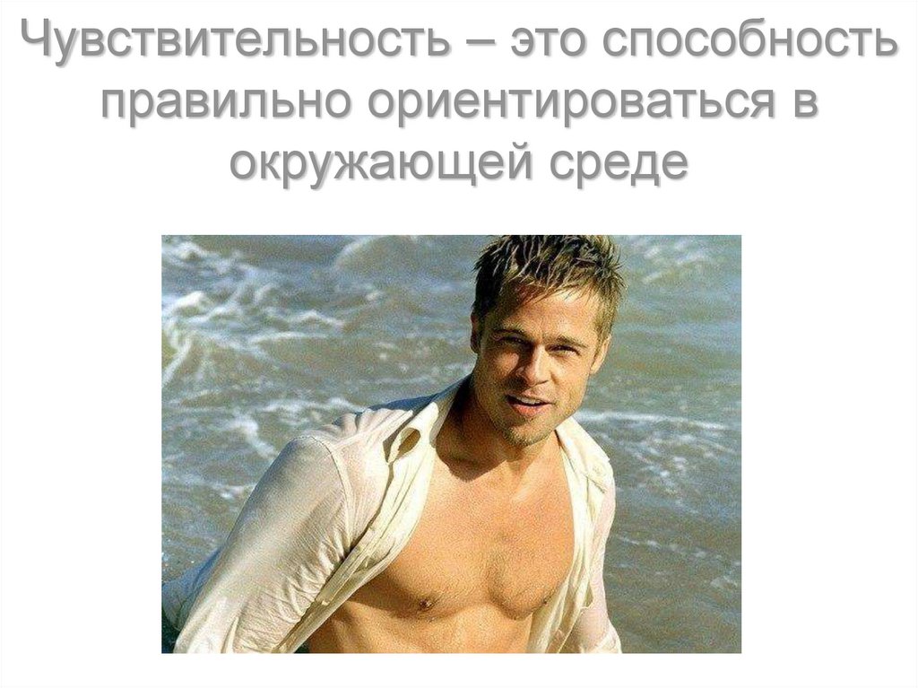 Чувствительность – это способность правильно ориентироваться в окружающей среде