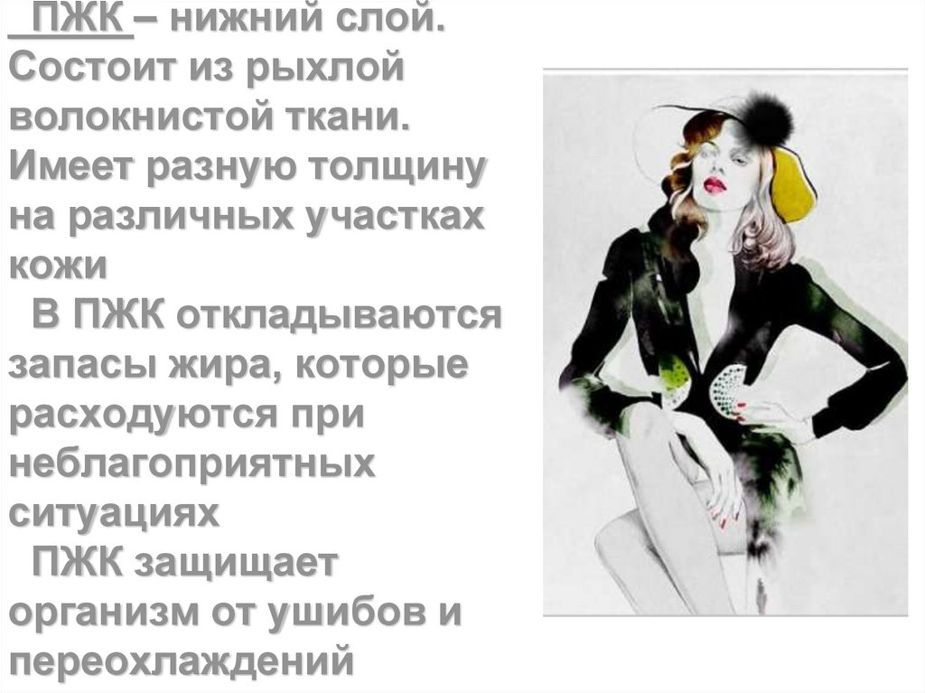 ПЖК – нижний слой. Состоит из рыхлой волокнистой ткани. Имеет разную толщину на различных участках кожи В ПЖК откладываются