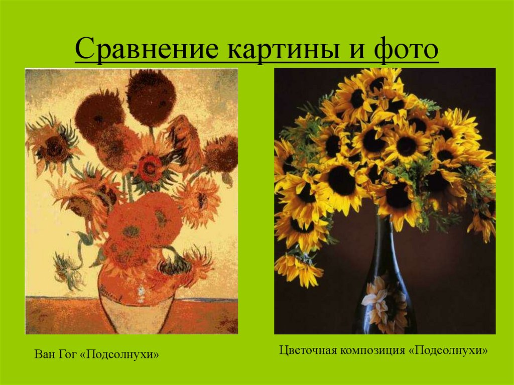 Сравнение картин. Сходства и различия фотографии и живописи. Сходства живописи и фотографии. Сходства фотографии и картины.