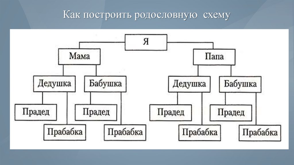 Схема родословной. Блок схема родословной. Родословная по информатике. Схема родового происхождения. Как начертить генеалогическую схему.