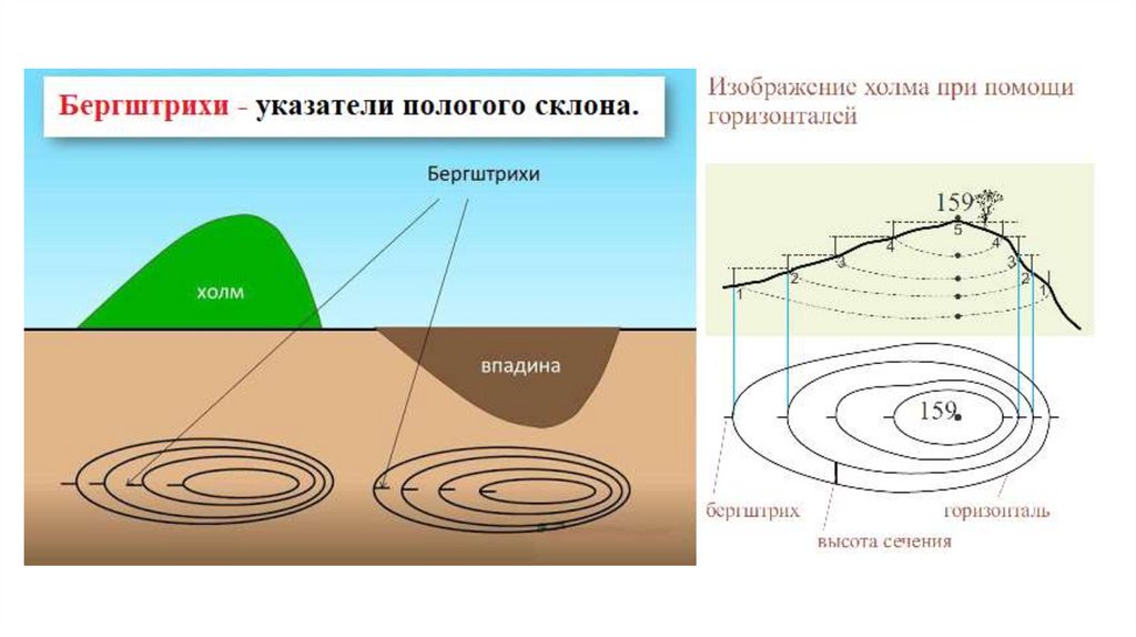 На каких изображениях земной поверхности