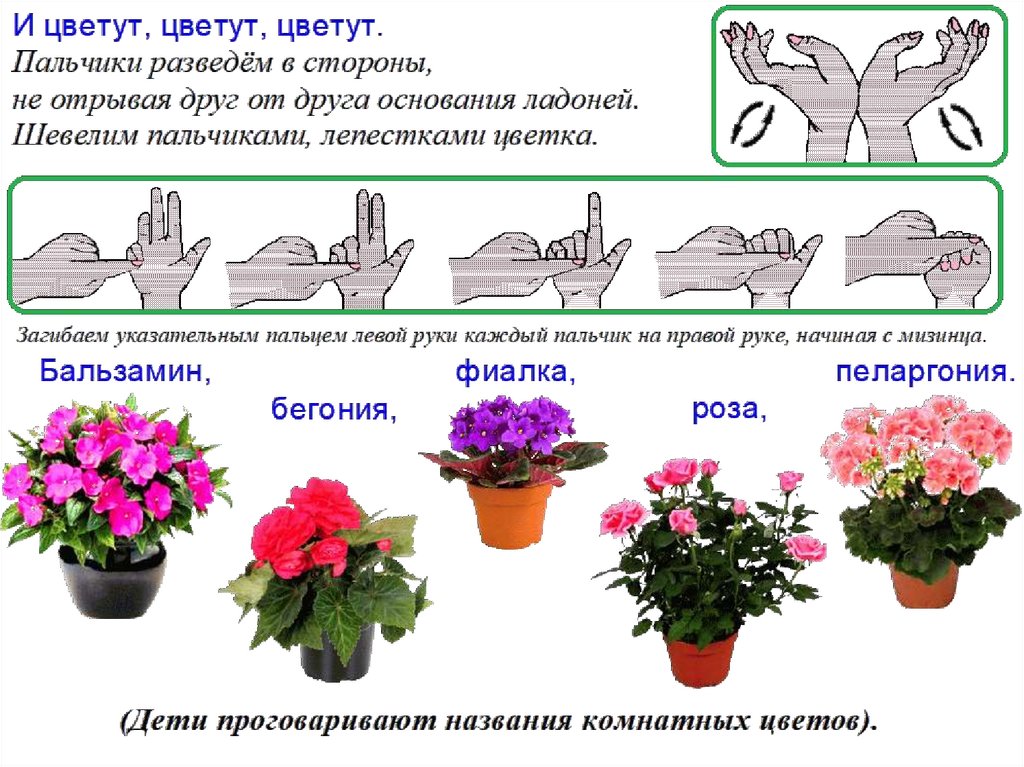 Календарный план в средней группе на тему комнатные растения