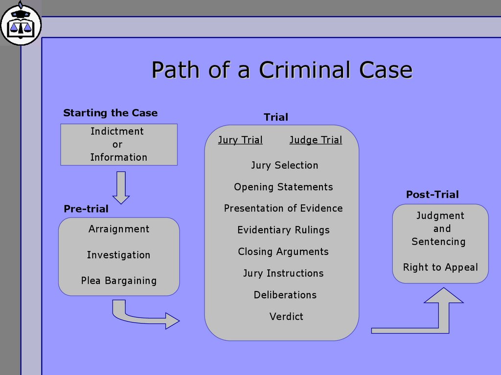 Path of a Criminal Case