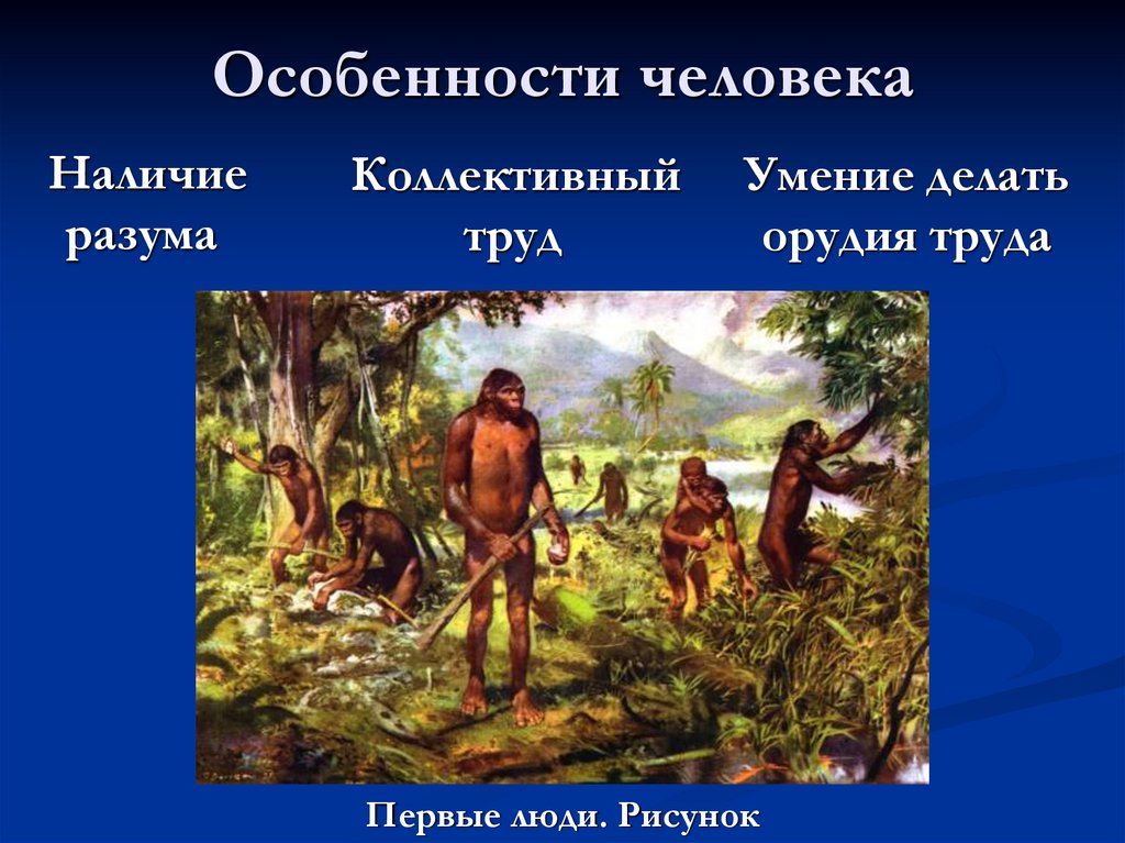 Первобытные собиратели и охотники. Животные собиратели примеры. Первобытные охотники и собиратели презентация для 5 класса по истории.