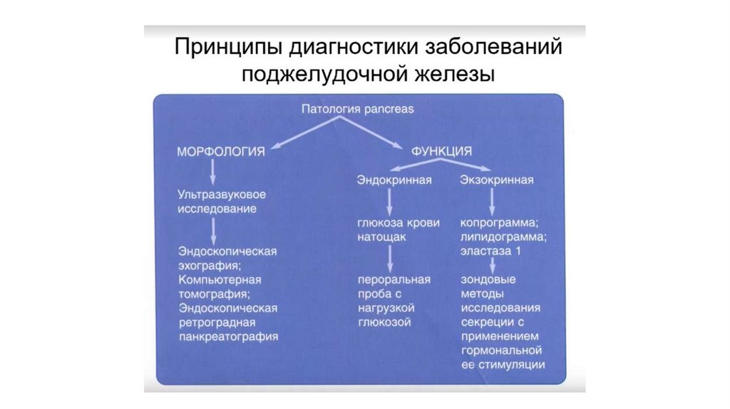 Заболевания поджелудочной железы презентация