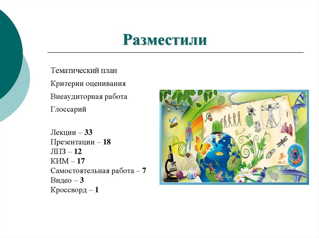 Разместили