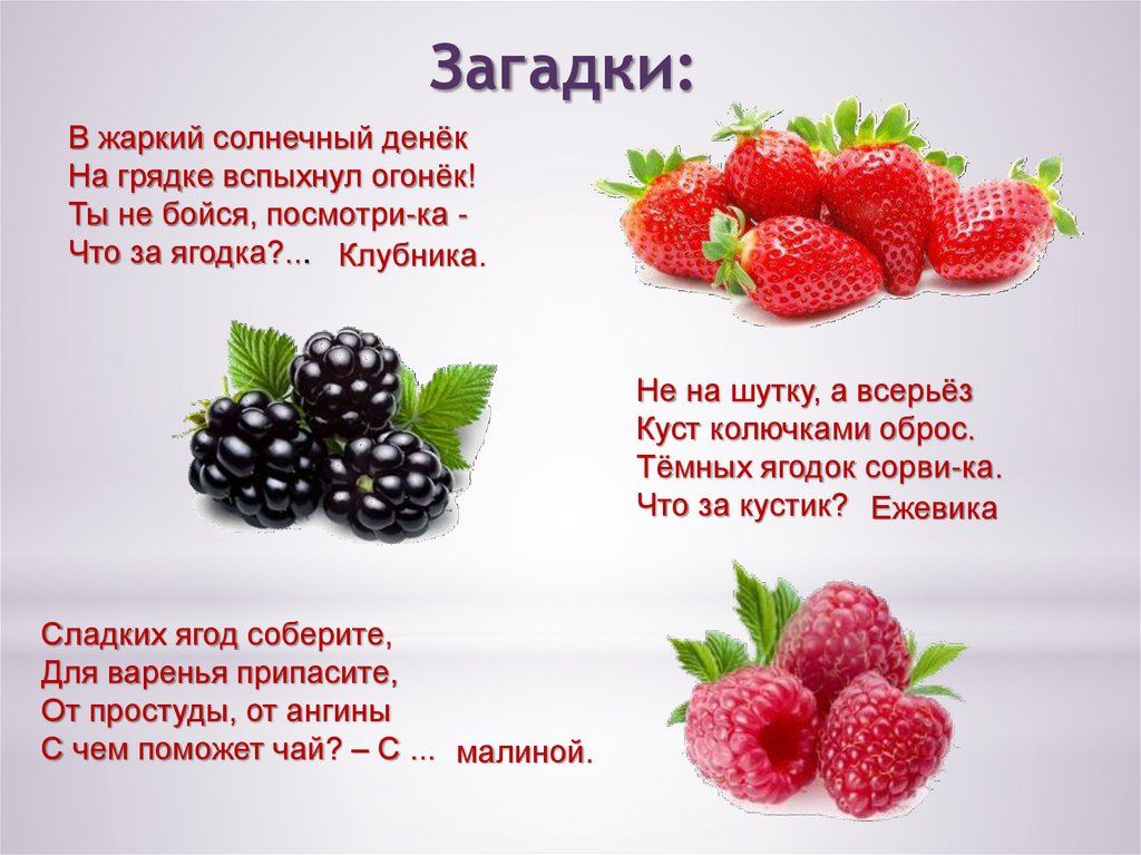 Читать горькие ягодки полностью. Загадки про ягоды. Загадка про ягодку для детей. Загадки про ягоды для детей. Загадки на я.