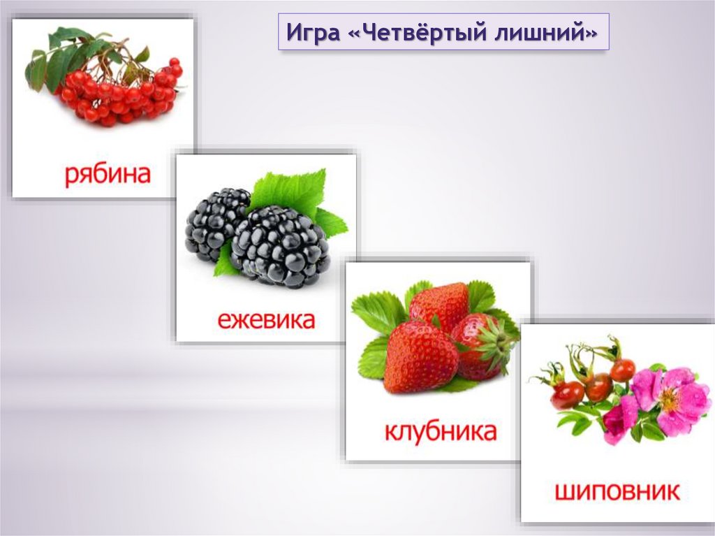 Найди ягодка. Ягоды для презентации. Четвертый лишний на тему ягоды. Ягоды для дошкольников. Найди лишнее ягоды.
