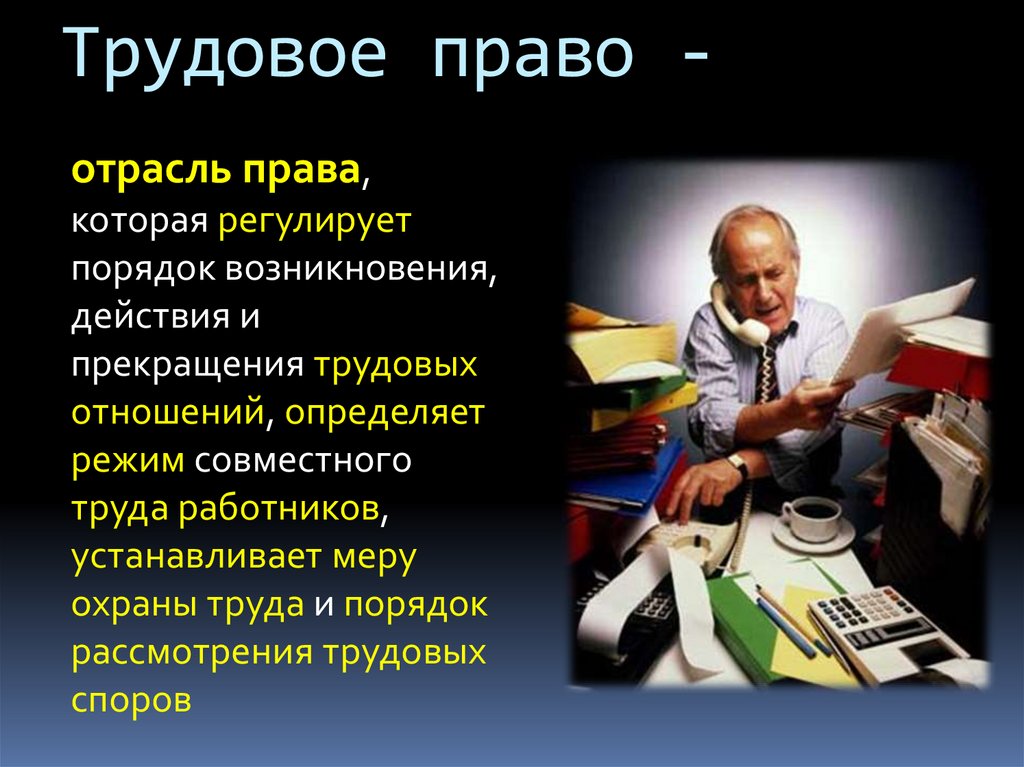 Возникнуть порядок. История трудового законодательства. История появления трудового права. Трудовое право України. Трудовое право Украины презентация.