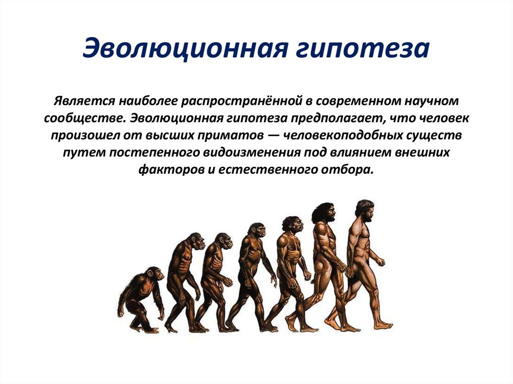 Теория происхождения человека новые. Неокатастрофизм гипотезы эволюции. Гипотезы возникновения человека. Гипотезы происхождения человека. Гипотезы появления человека.