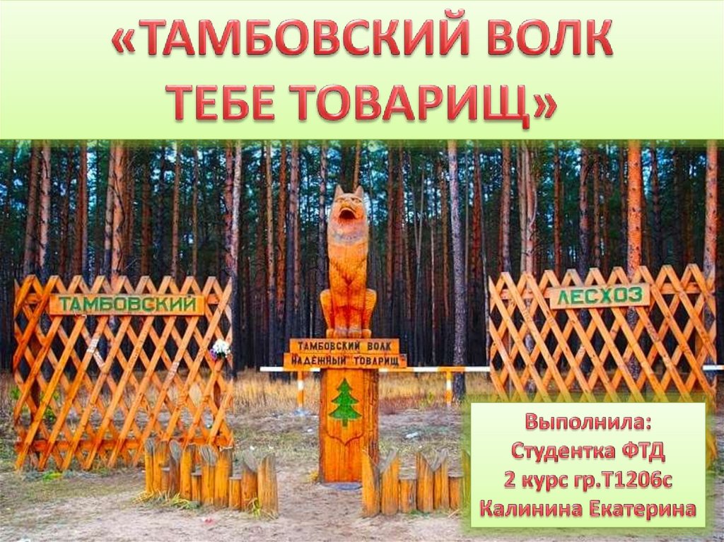 Тамбовский волк тебе товарищ картинки