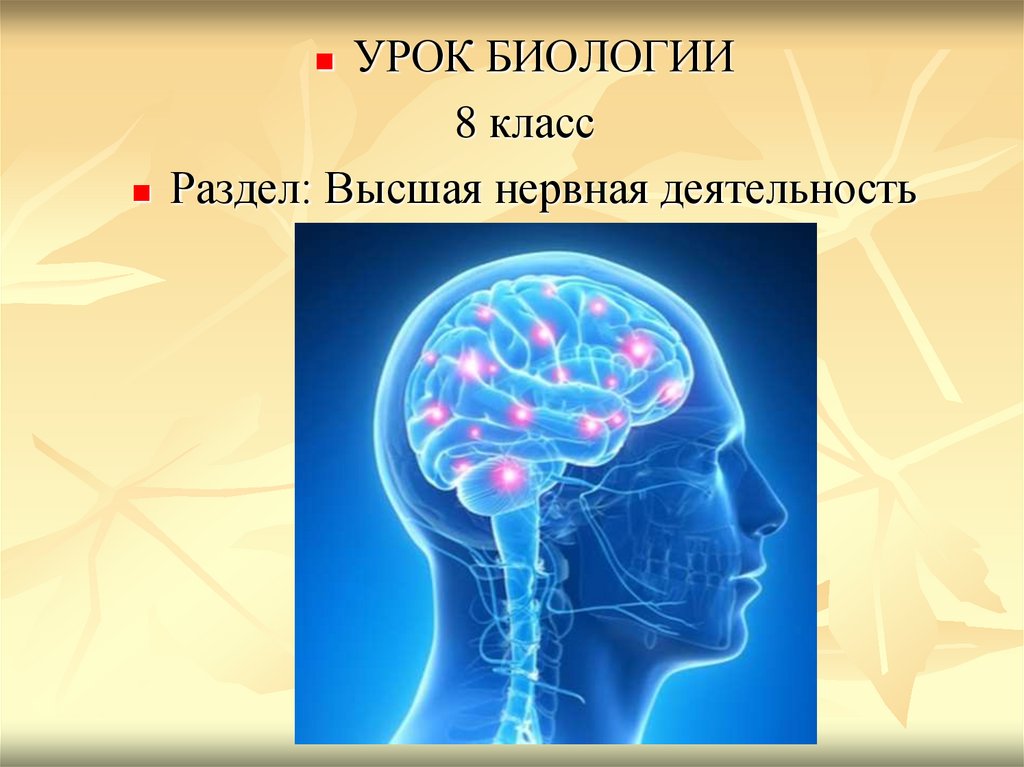 Высшая нервная деятельность презентация 9 класс. Презентация на тему Высшая нервная деятельность.