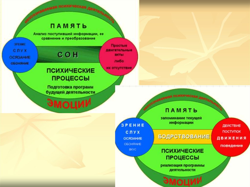 Поведение и психика 8 класс презентация