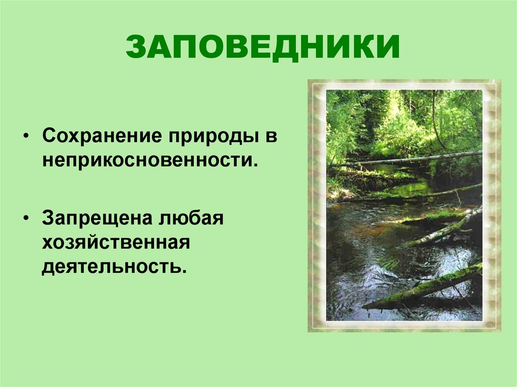 Сохранение заповедников. Сохранение природы в заповедниках. Сохраним заказник. Заповедник как сохранять природу. Как сохранить заповедники.