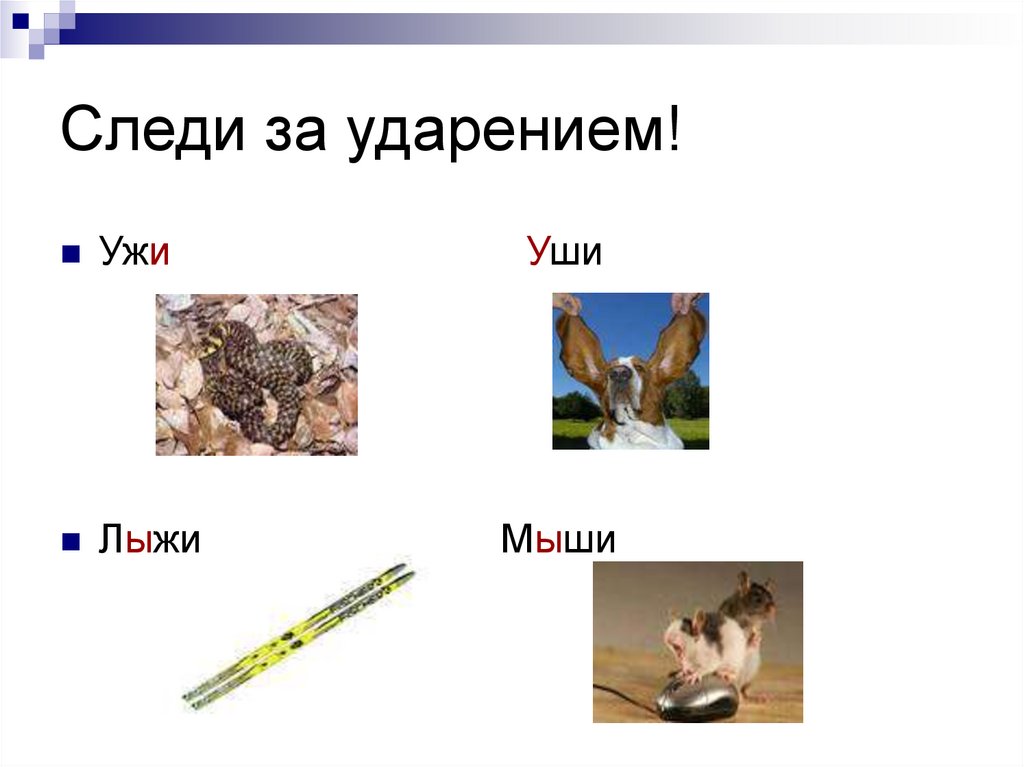 Следи за ударением!