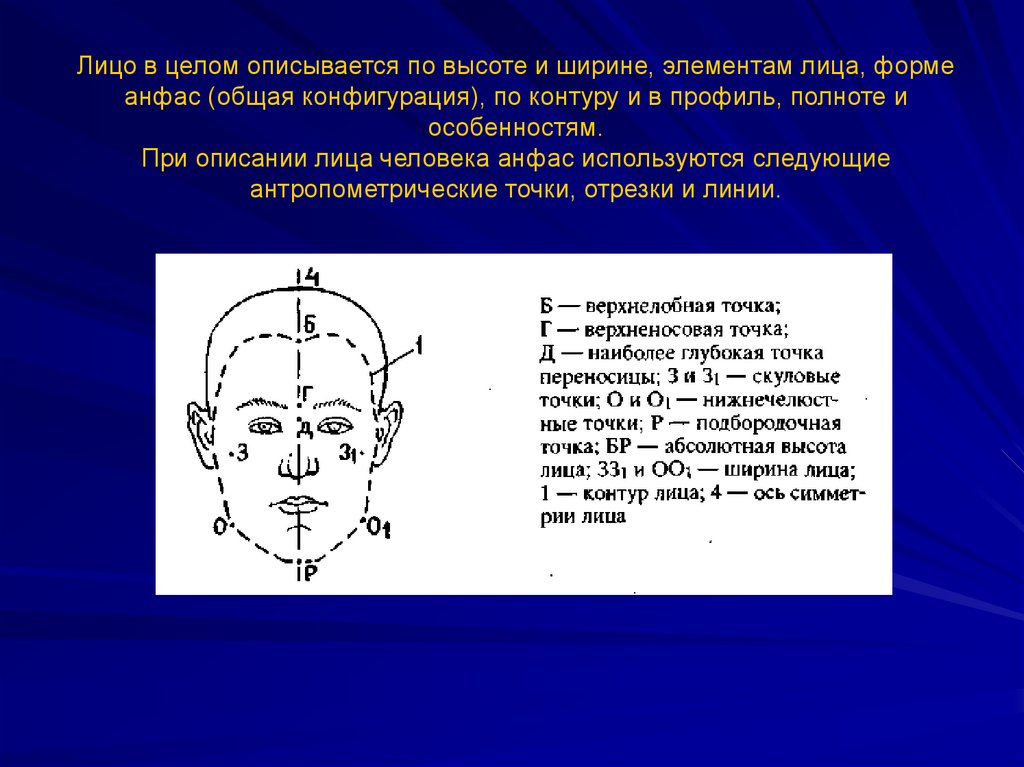 3 точки выберите