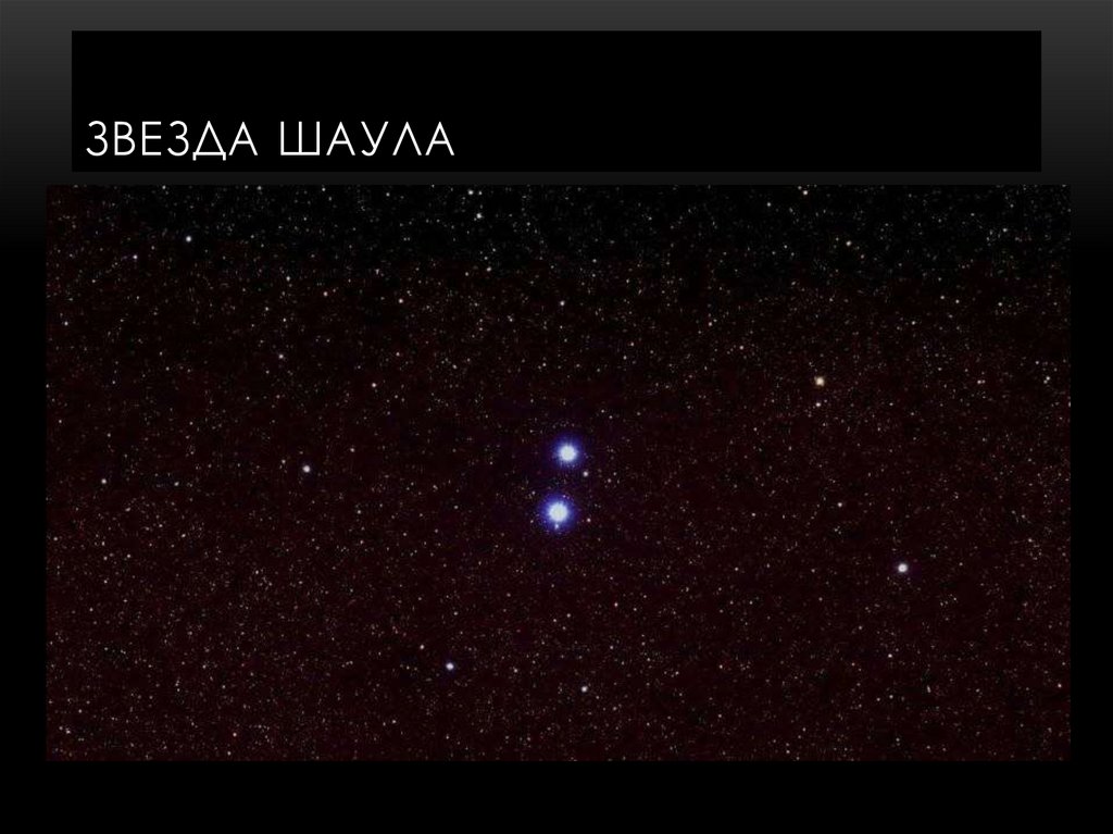 Звезда шаула