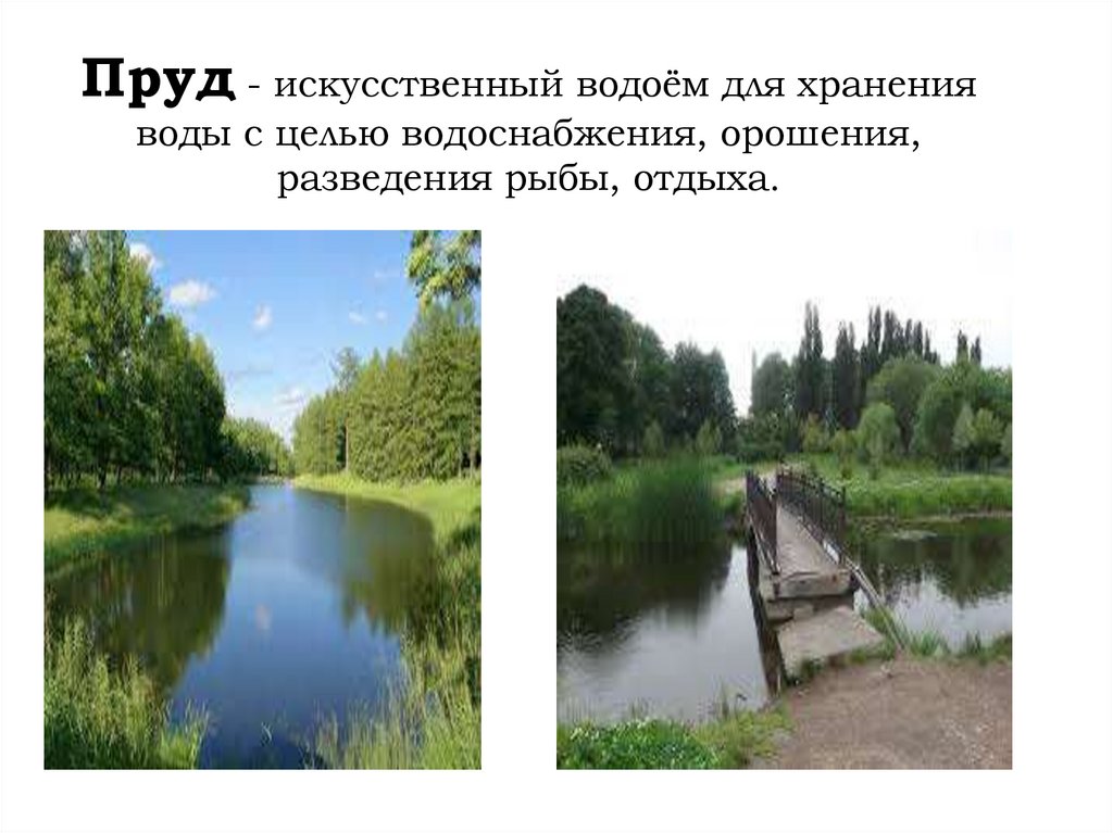 Пруд - искусственный водоём для хранения воды с целью водоснабжения, орошения, разведения рыбы, отдыха.