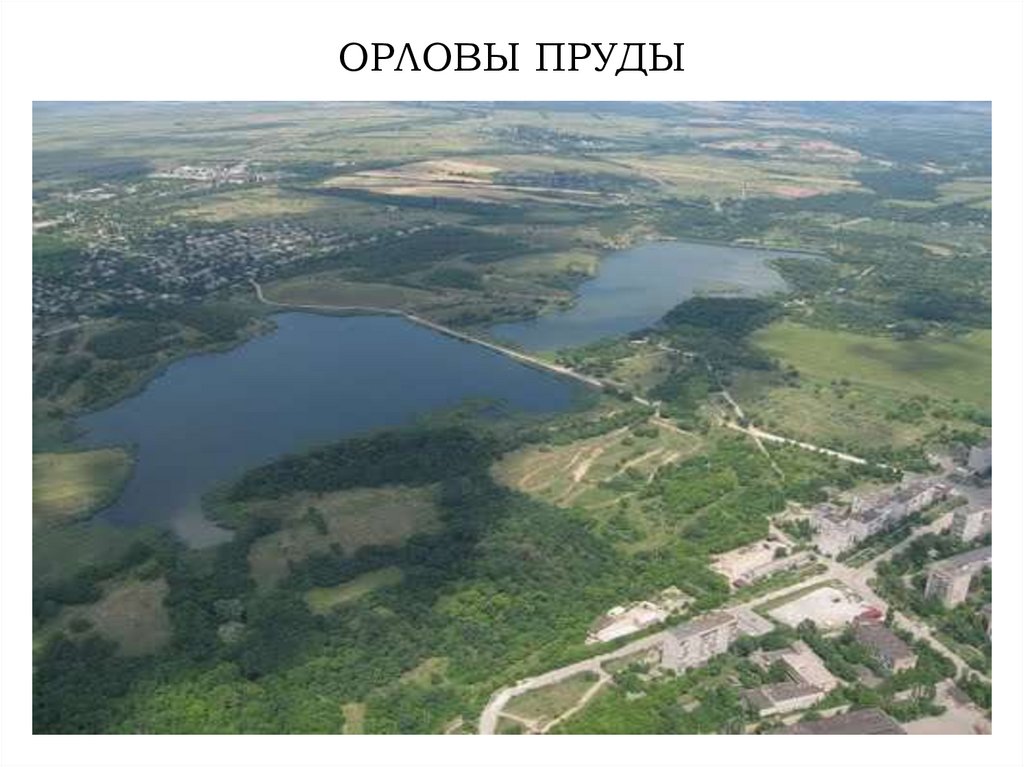 ОРЛОВЫ ПРУДЫ