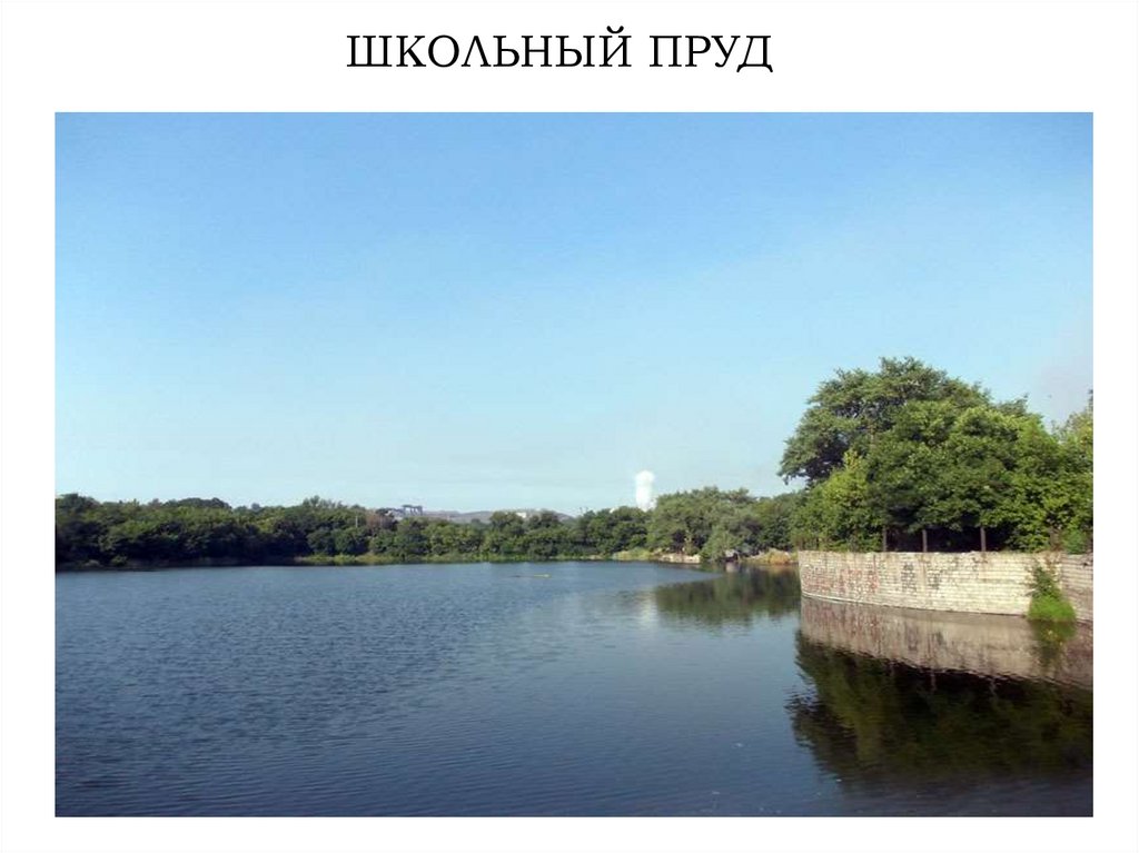 ШКОЛЬНЫЙ ПРУД