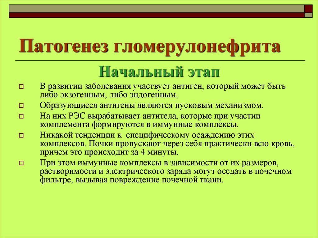 Патогенез гломерулонефрита