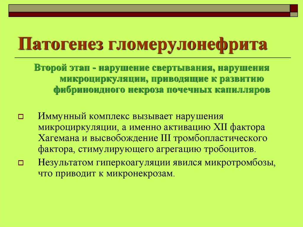 Покажите в виде схемы почему после перенесенной ангины может возникнуть гломерулонефрит