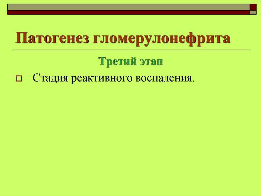 Патогенез гломерулонефрита
