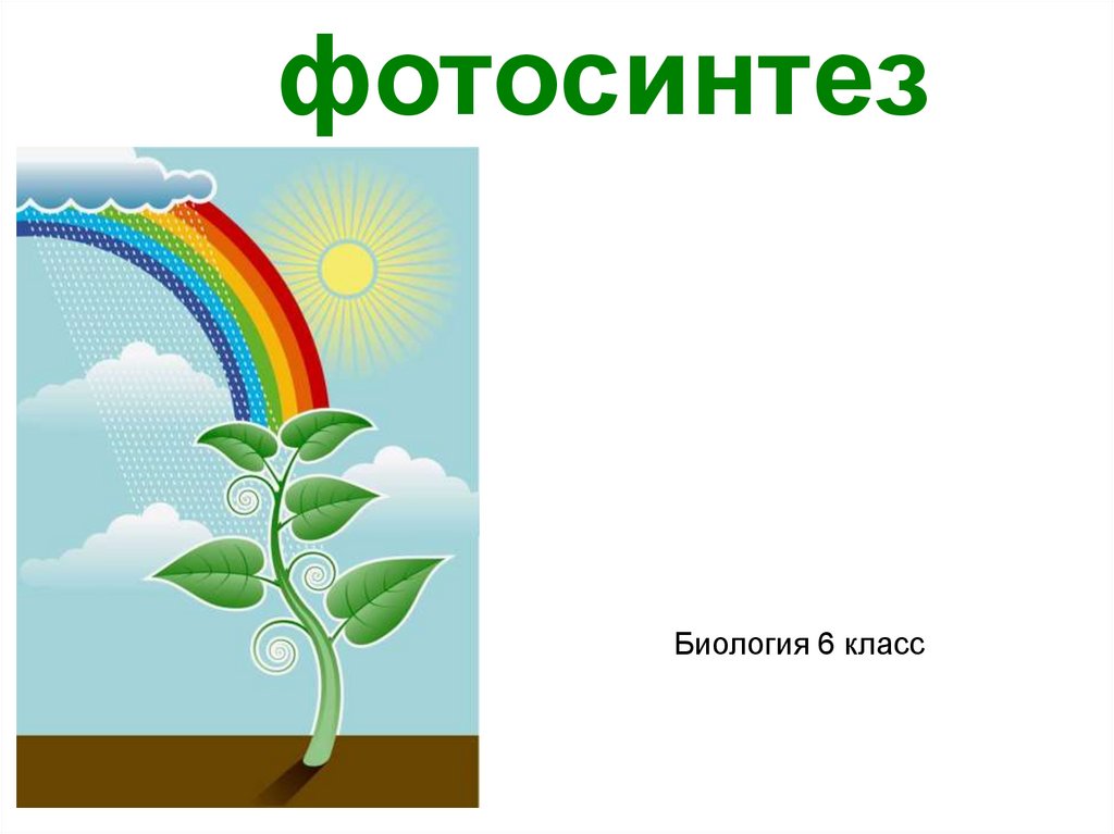 Темы по биологии 6. Фотосинтез 6 класс биология. Фотосинтез это в биологии. Фотосинтез 5 класс биология. Презентация по биологии 6 класс.