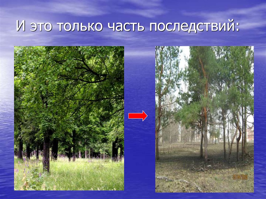 И это только часть последствий: