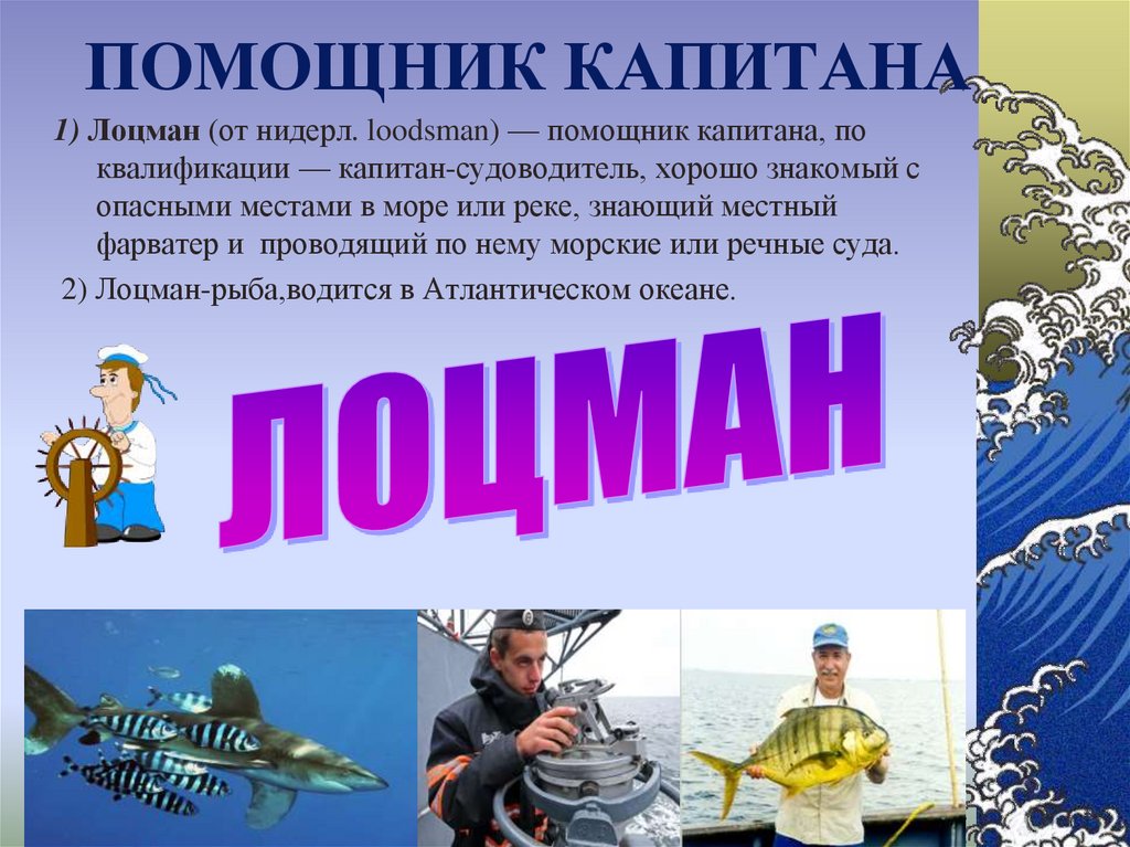 ПОМОЩНИК КАПИТАНА