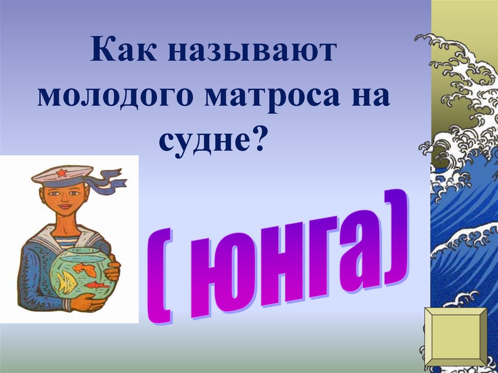 Молодой называется. Как называют молодого матроса на судне. Как называют юного человека.