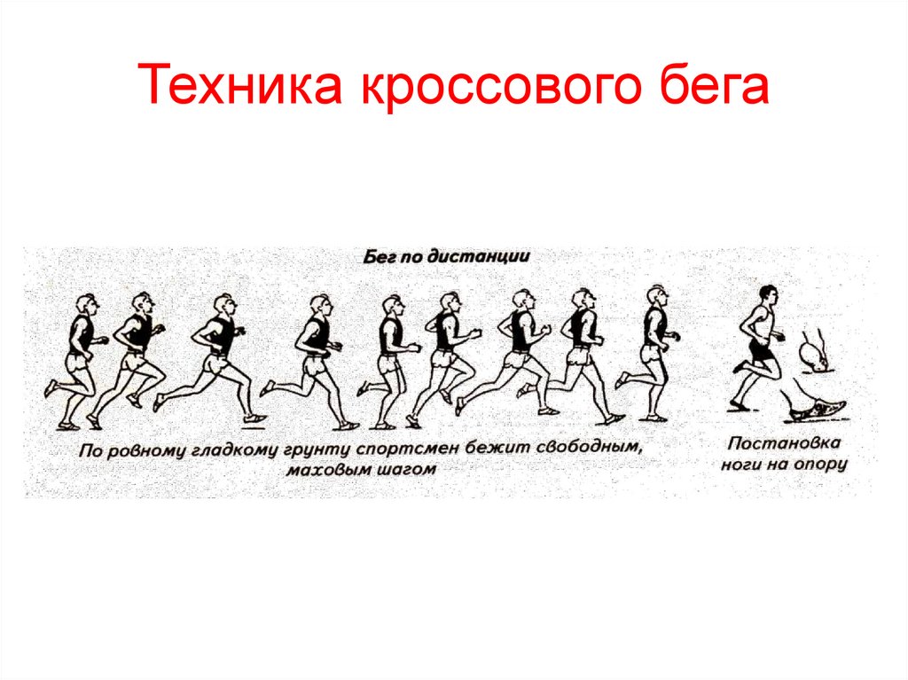 Техника кроссового бега презентация