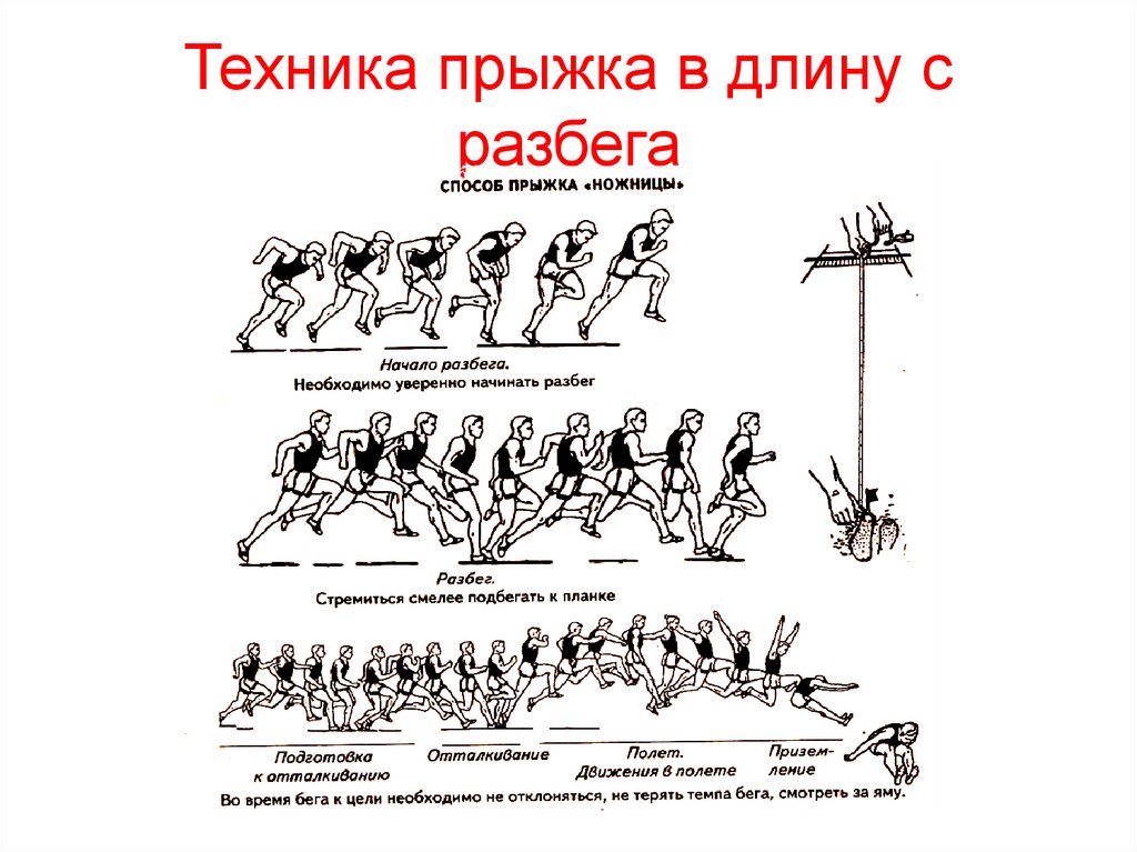 Техника прыжка в длину с разбега