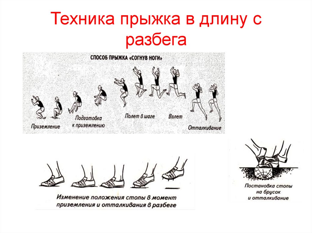 Техника прыжка в длину с разбега