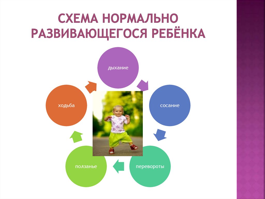 Схема нормально развивающегося ребёнка
