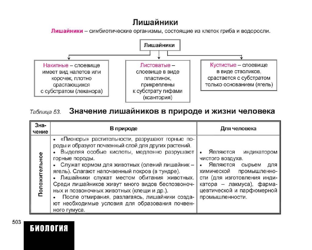 Весь курс школьной программы. Химия, физика, биология, математика,  информатика - презентация онлайн