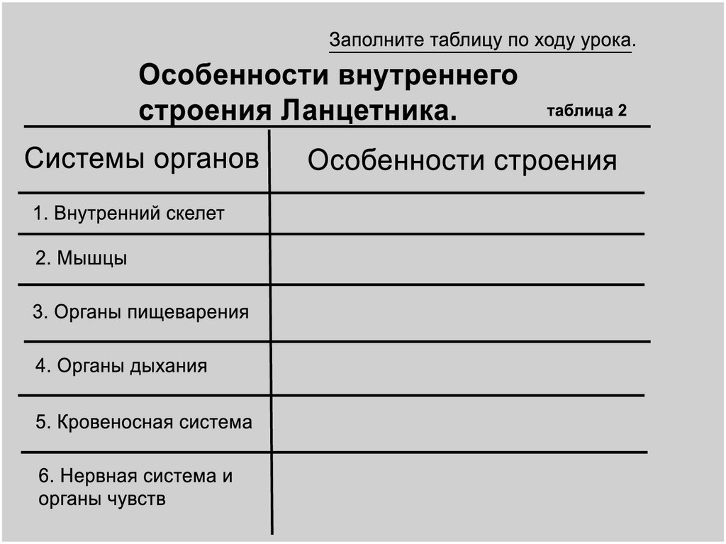 Система органов особенности. Особенности строения ланцетника таблица. Строение ланцетника таблица. Ланцетник характеристика строения. Строение ланцетника признаки особенности строения.