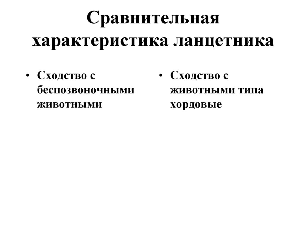 Сравнительная характеристика ланцетника