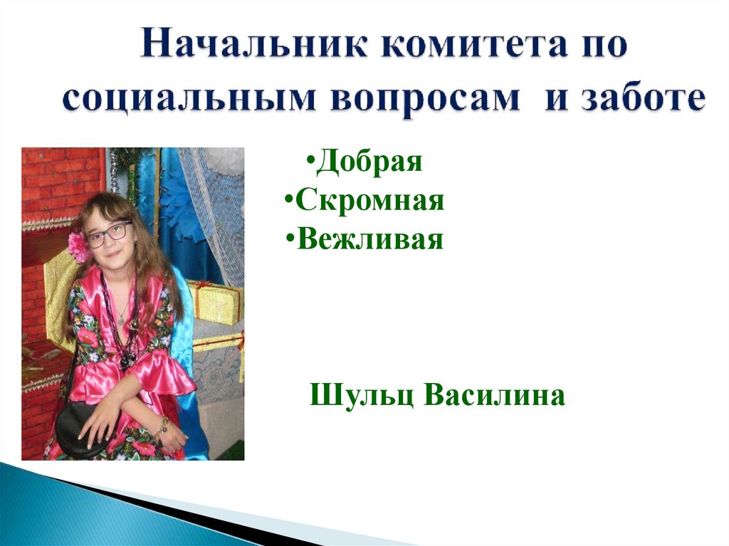 Начальник комитета по социальным вопросам и заботе