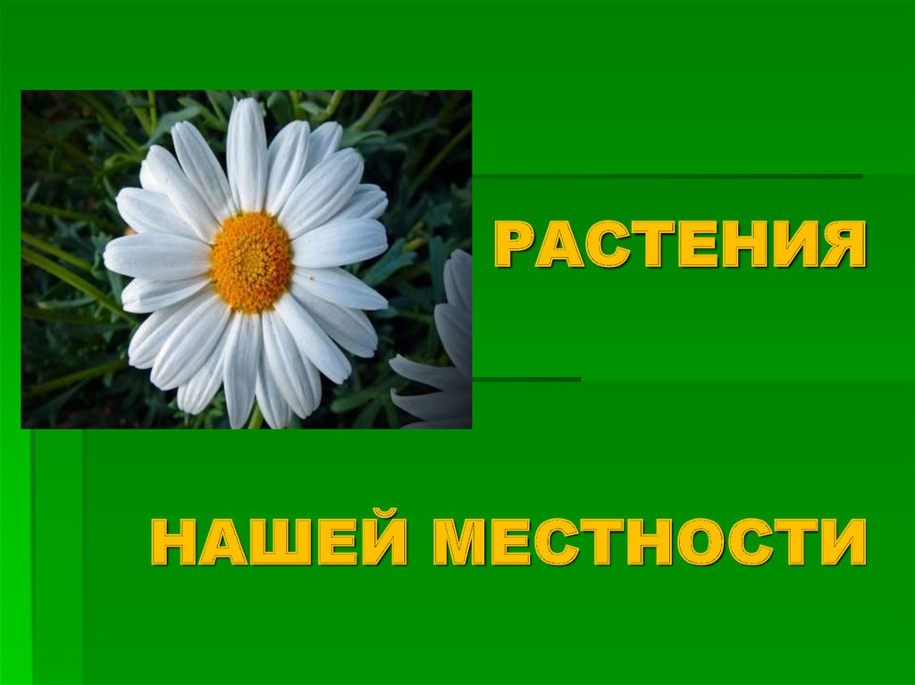 Красота природы моей местности кубановедение 1 класс презентация